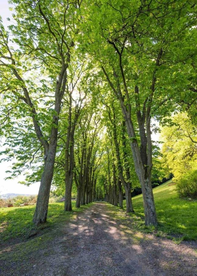 Urlaub In Schlossnaehe *